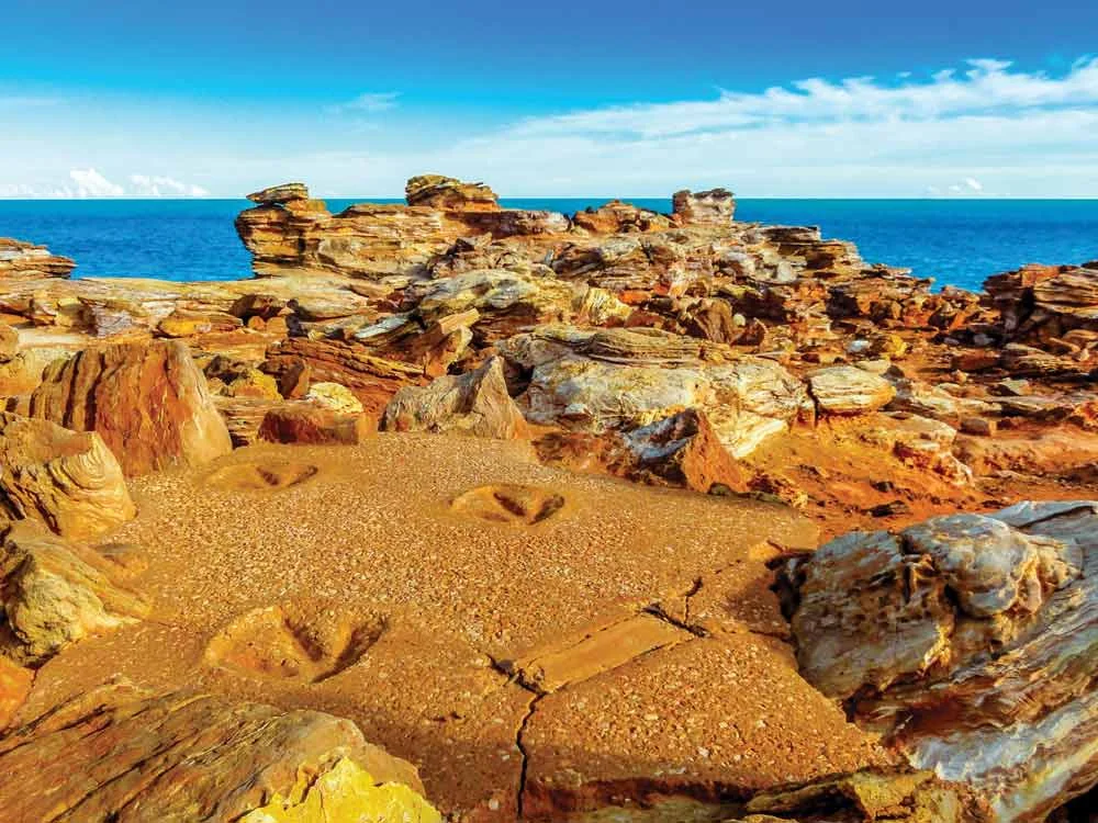 Broome_Opener.jpg