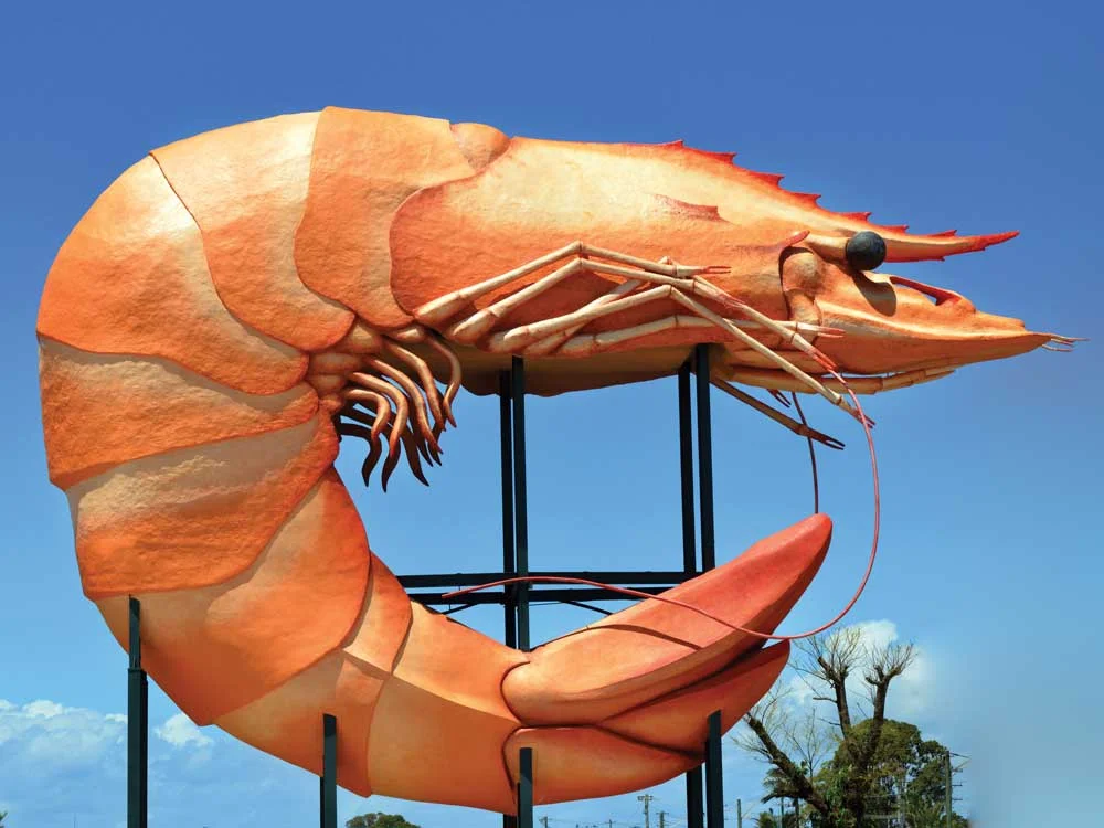 Big_Prawn.jpg