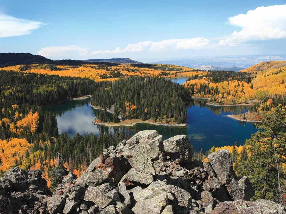 Grand-Mesa-Fall-Colors_photo-CREDIT-Grand-Junction-Visitor-&-Convention-Bureau.jpg
