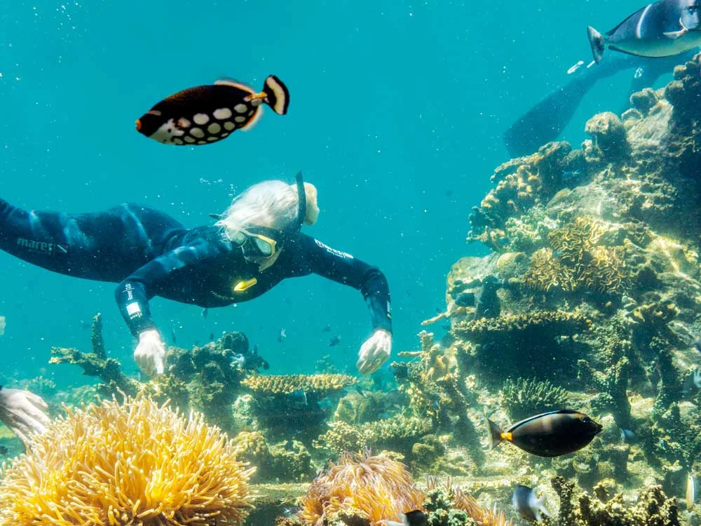SeaWorld_Diving.jpg