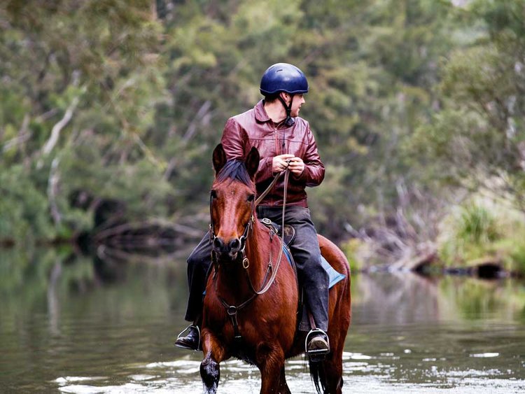 Horse riding in the Blue Mountains with kids