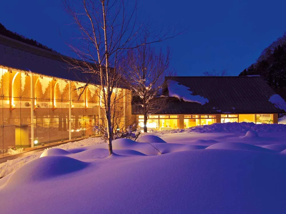 winter-garden-n.jpg