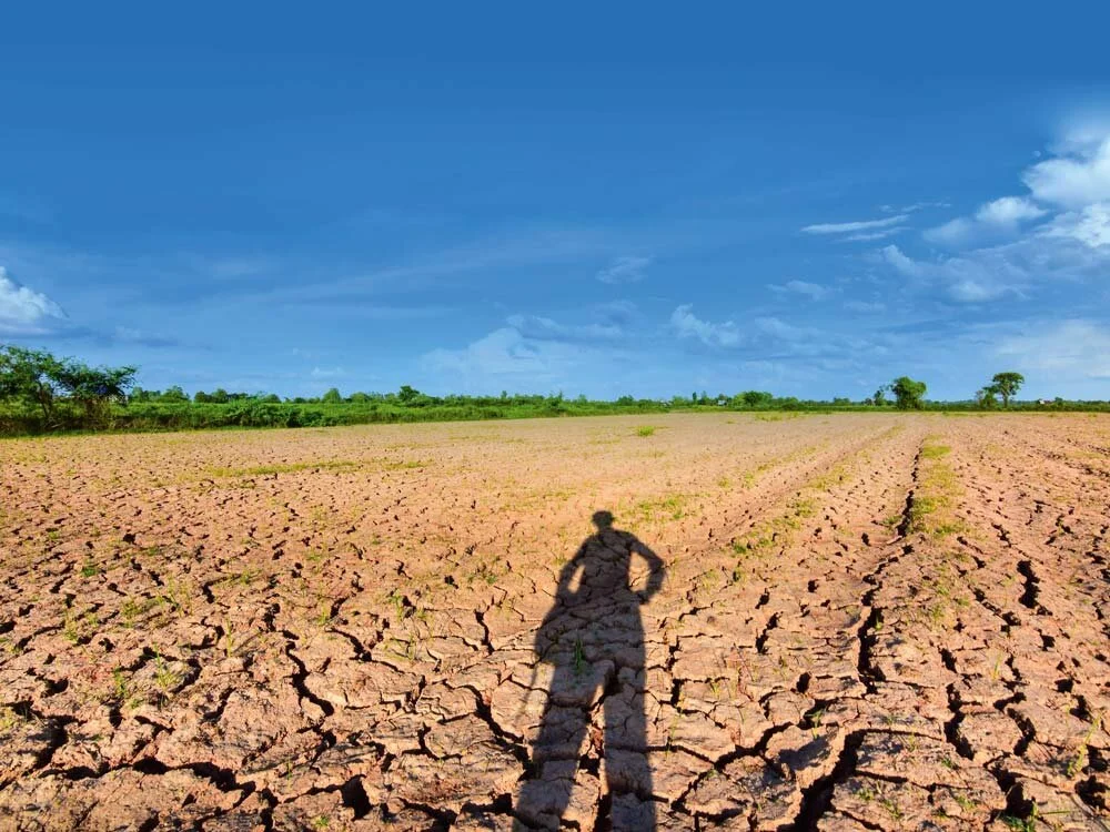 Farmer_Shadow_Drought.jpg