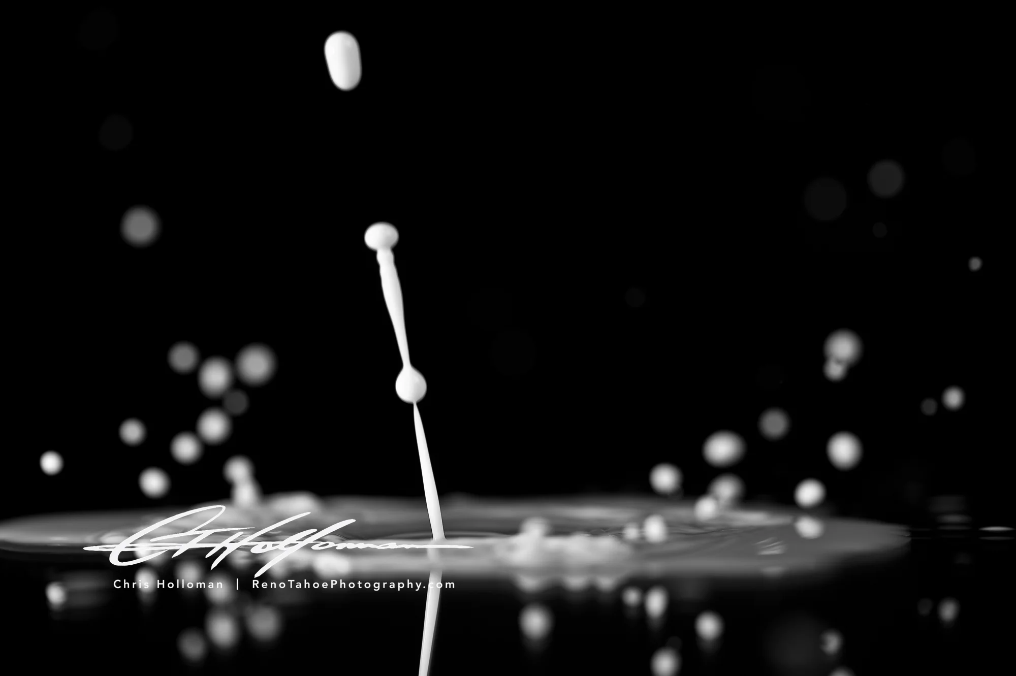 _DSC7737_8x12.jpg