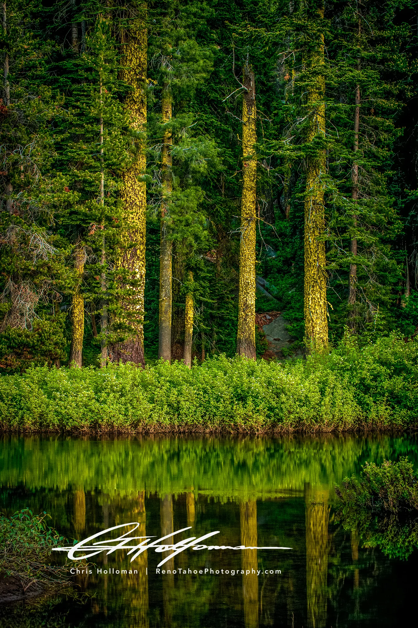 _DSC7625_8x12.jpg