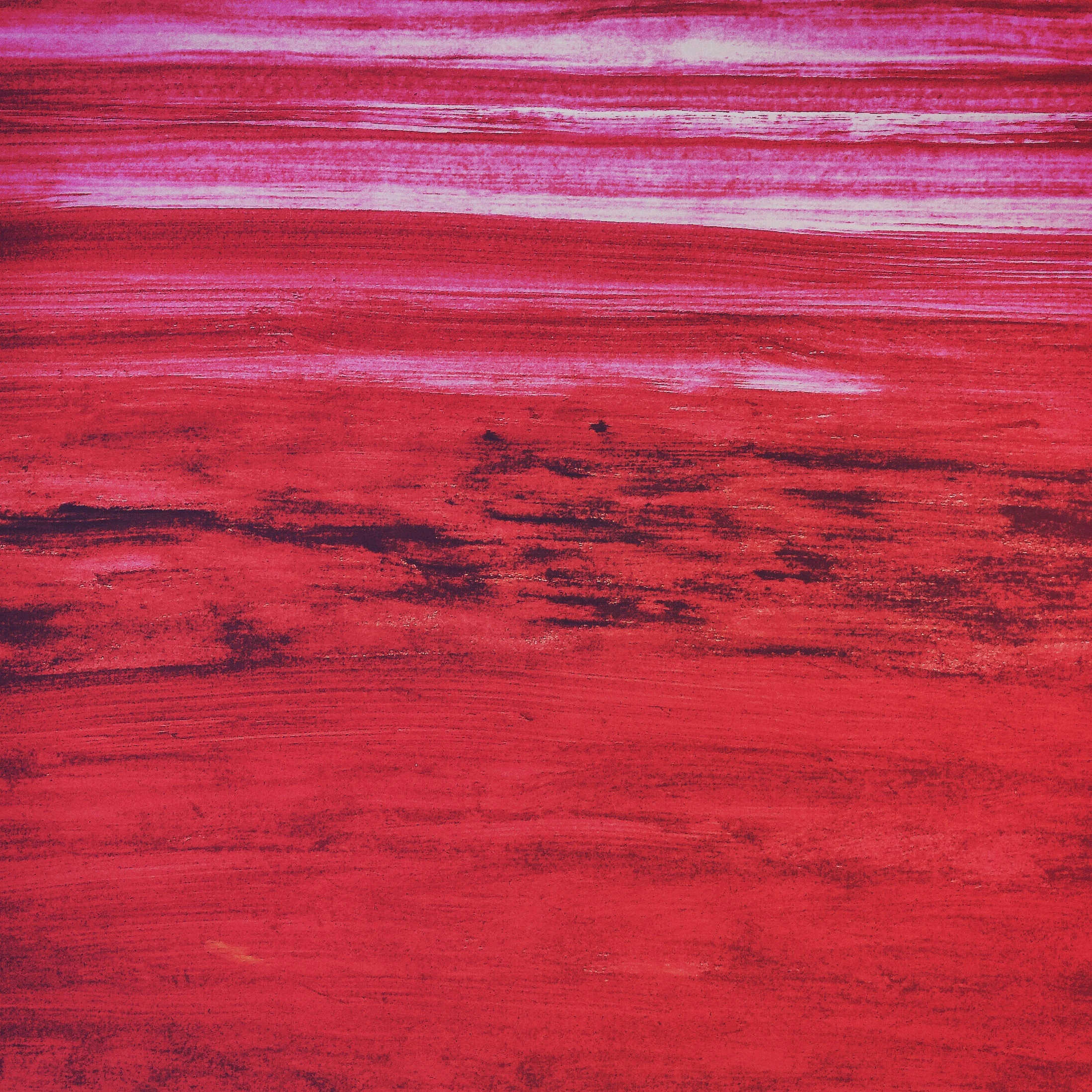 Enlight1.jpg