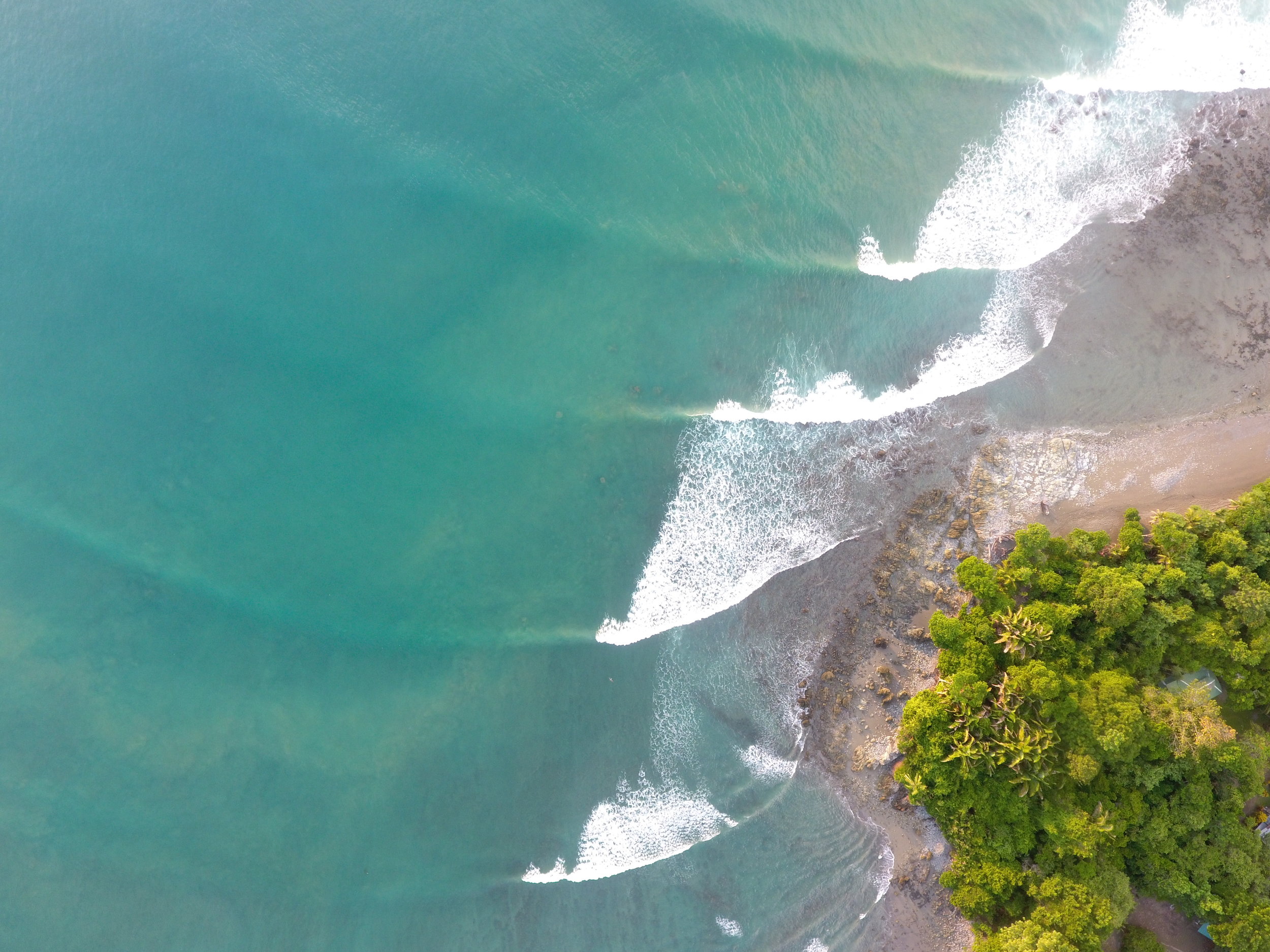 Lapa Rios coast.jpg