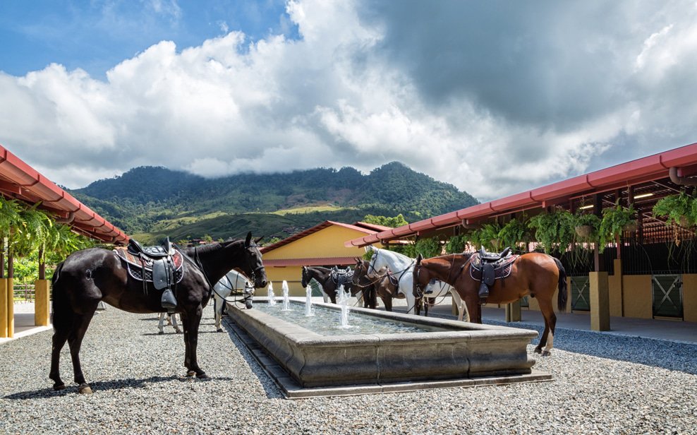 medgal_res_horsefountain.jpg