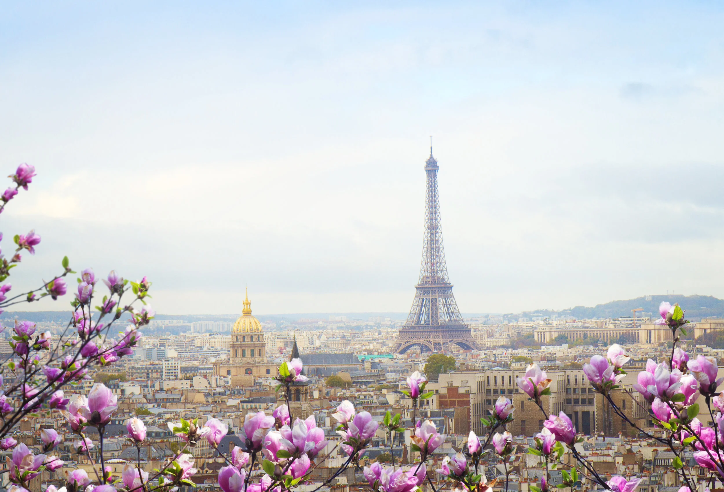 Paris.jpg