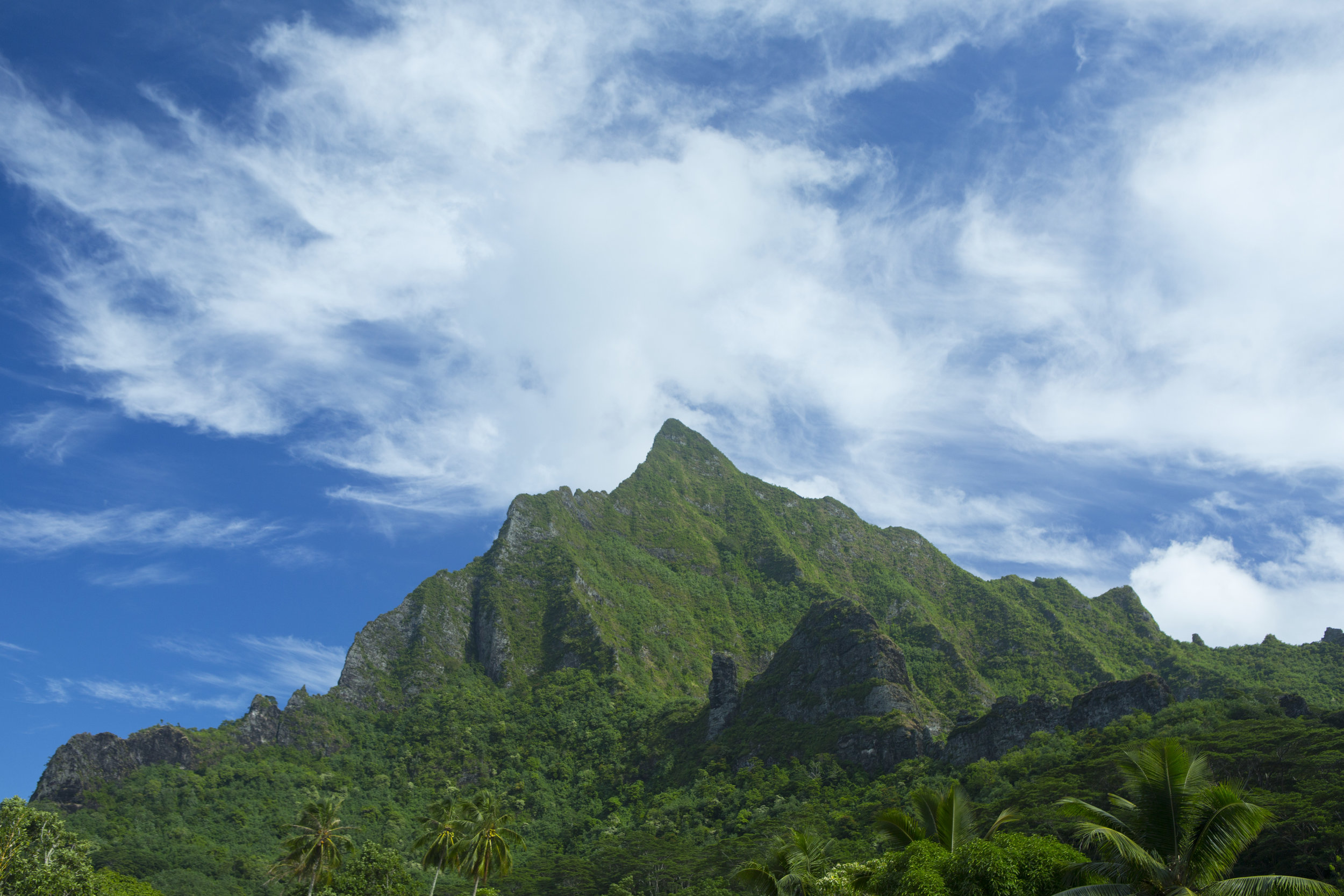 P2_08_MOOREA_00748.jpg