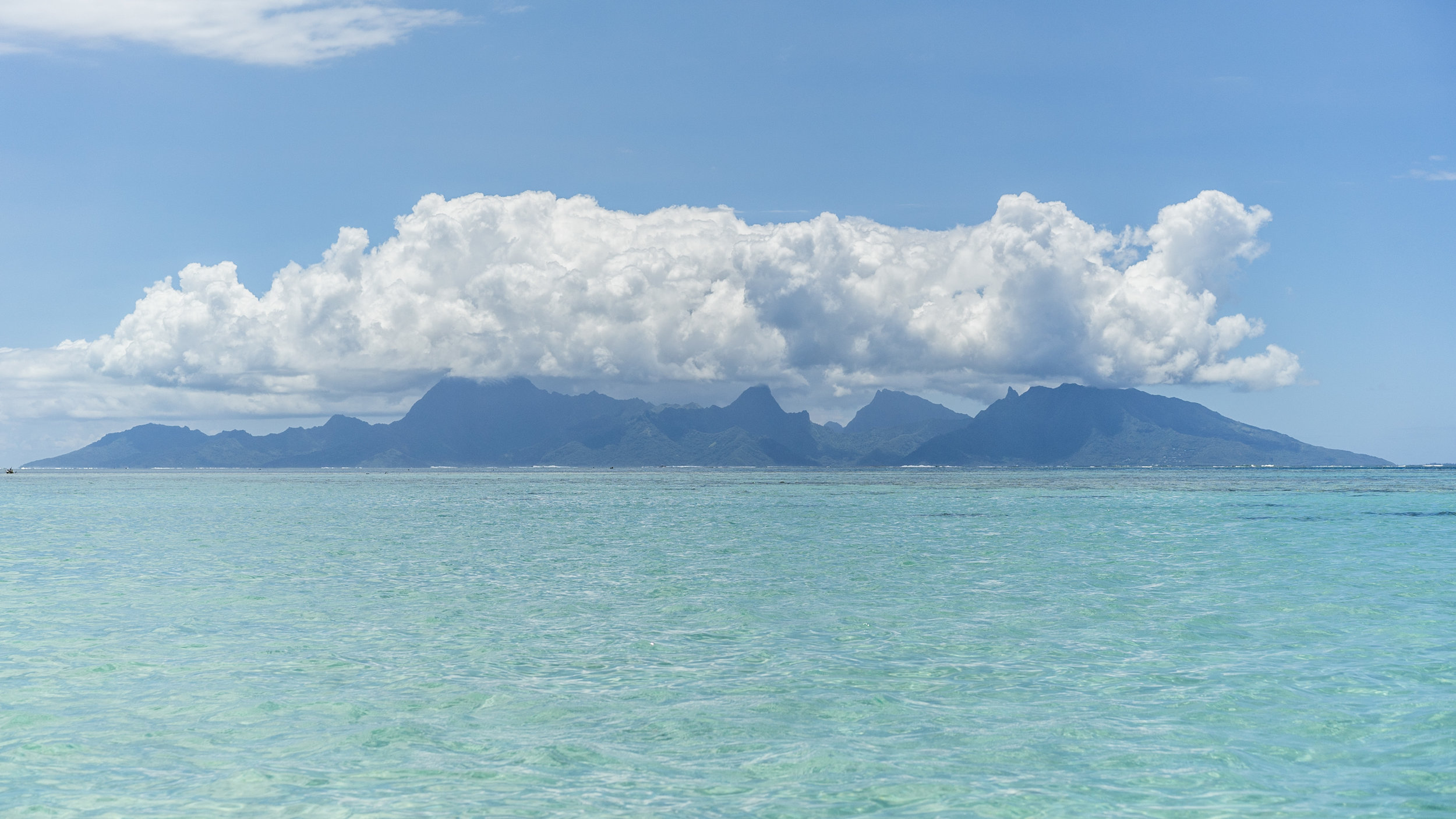 P2_08_MOOREA_DSC01367_© Audrey Svoboda.jpg