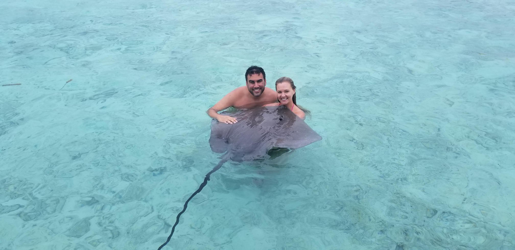Arrrotti Honeymoon Bora Bora Sting Ray 3.jpg