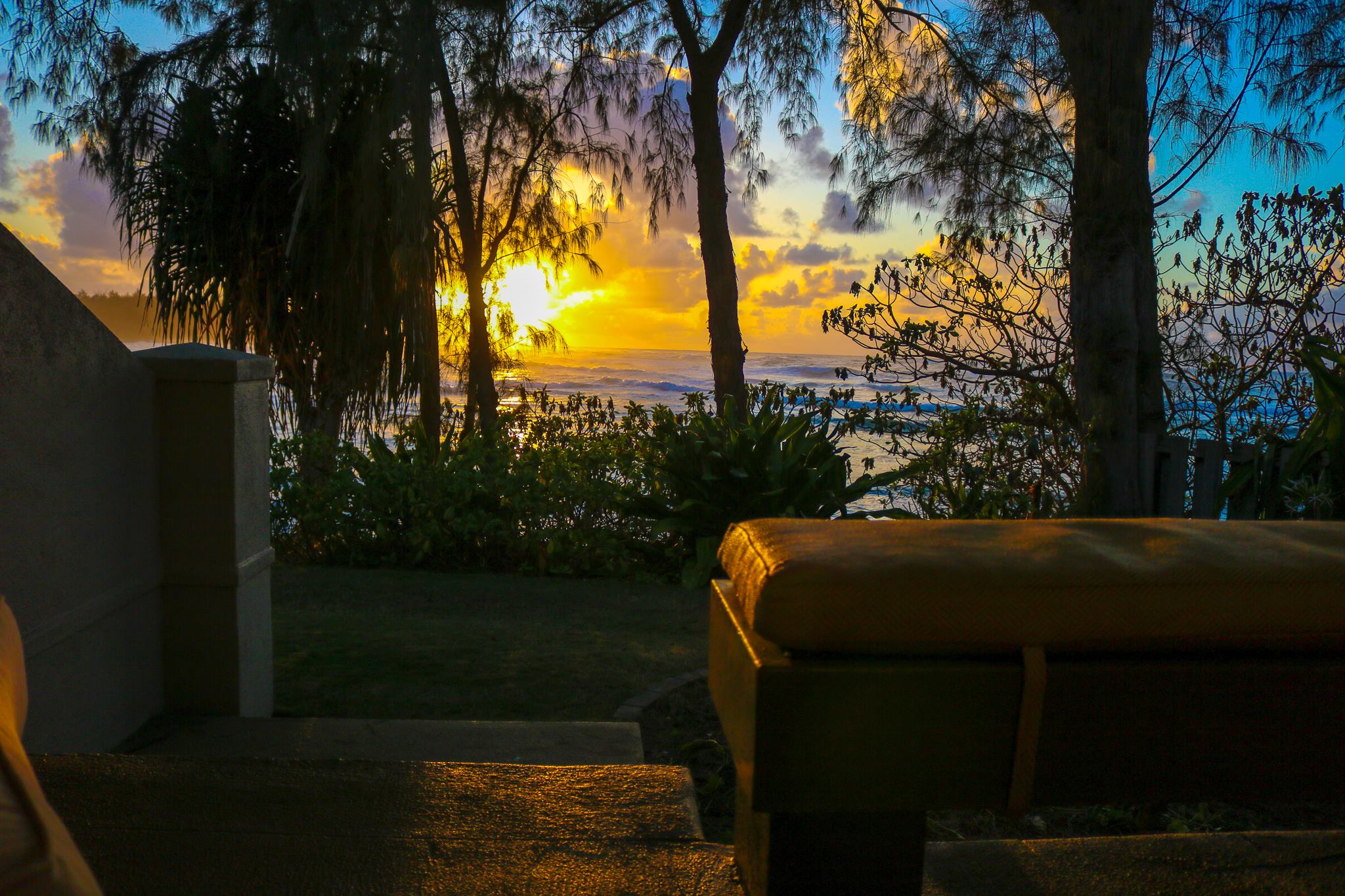 DeMoss Honeymoon 11.jpg
