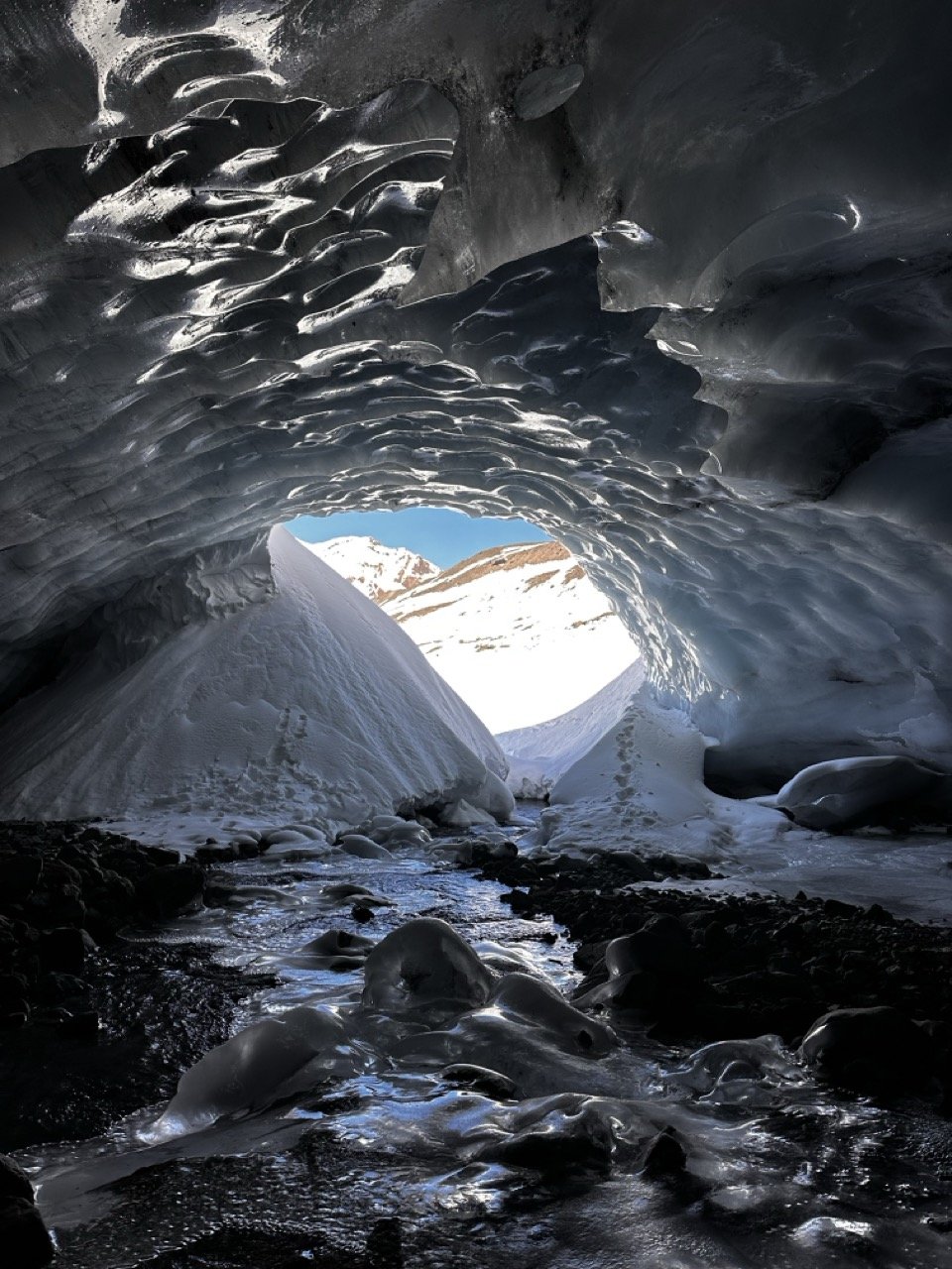 IMG_4451 2 Large.jpeg