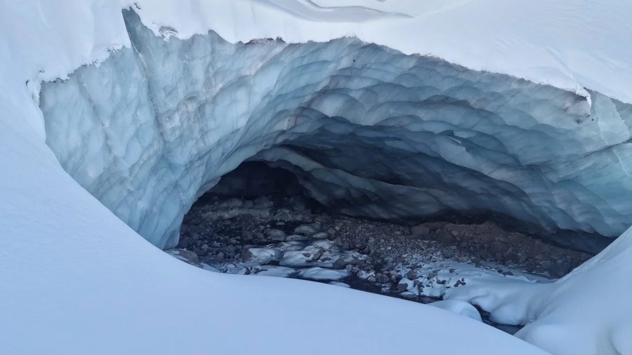 f3c6d48e-ab15-41dc-bd56-2d775f957ad6 Large.jpeg