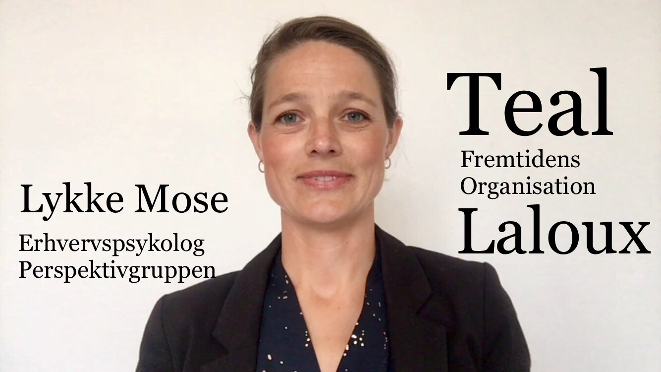 Vlog om Teal-organisationsformer