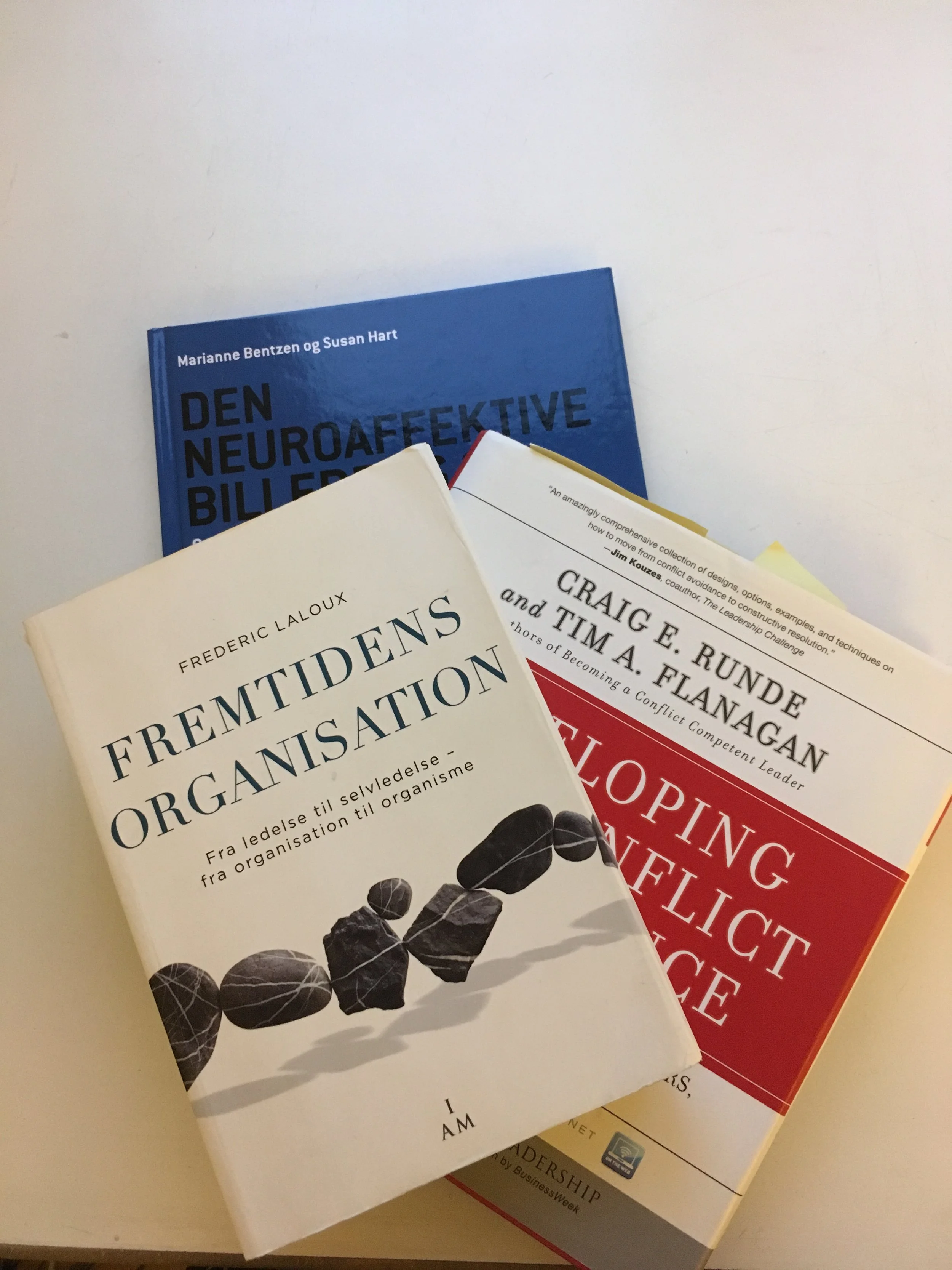 Konfliktløsningsmetoder og feedback i fremtidens organisationer.