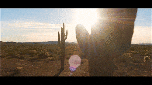 GUESS WEB GIF.gif