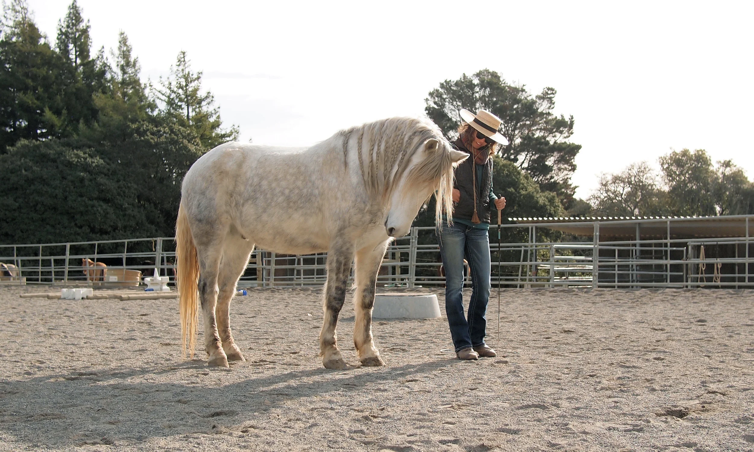 Cirrus, holding his nose away while I reach in my pocket for a treat.
