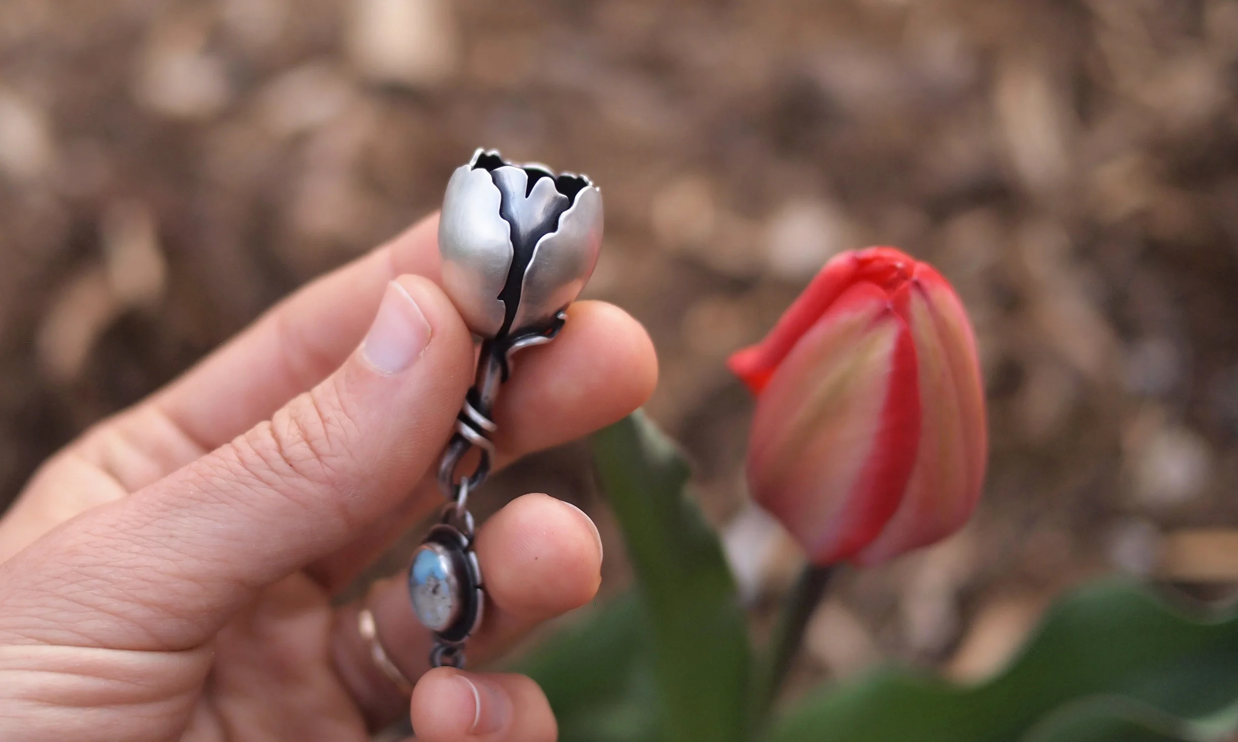 Tulip9.jpg