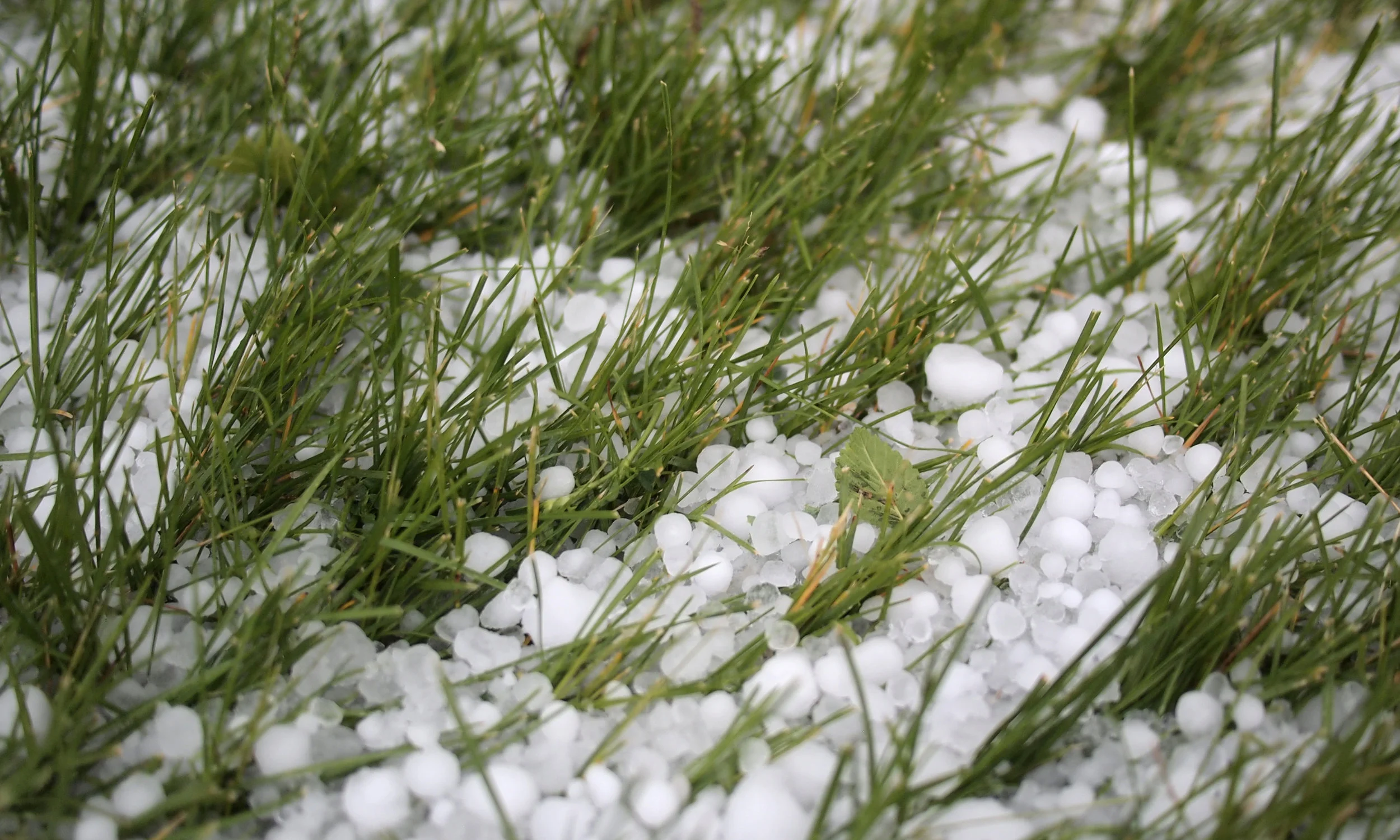Hail.jpg