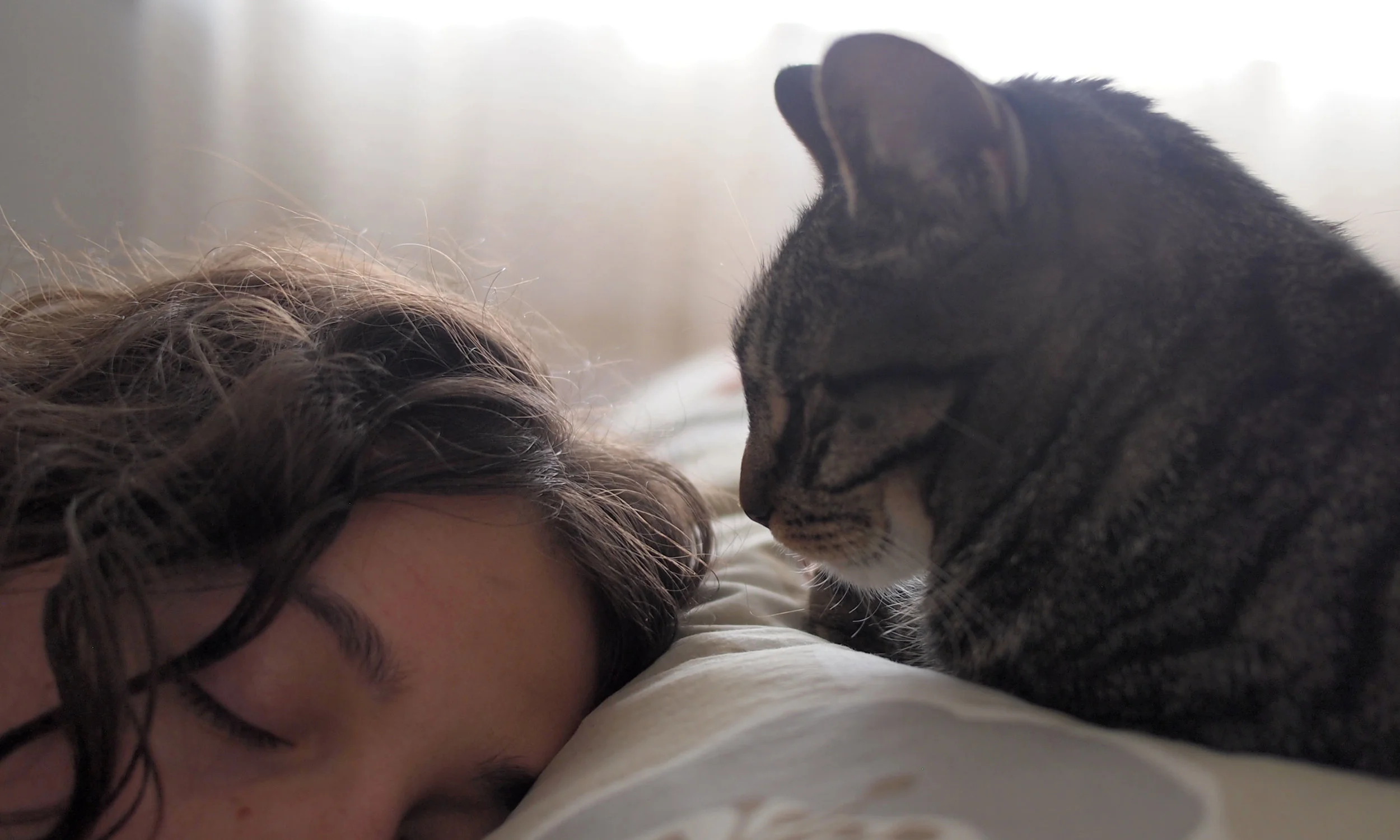 Sleep.jpg