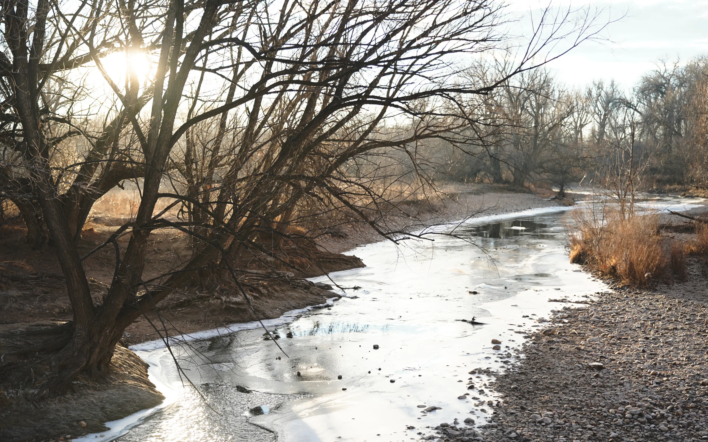 River.jpg