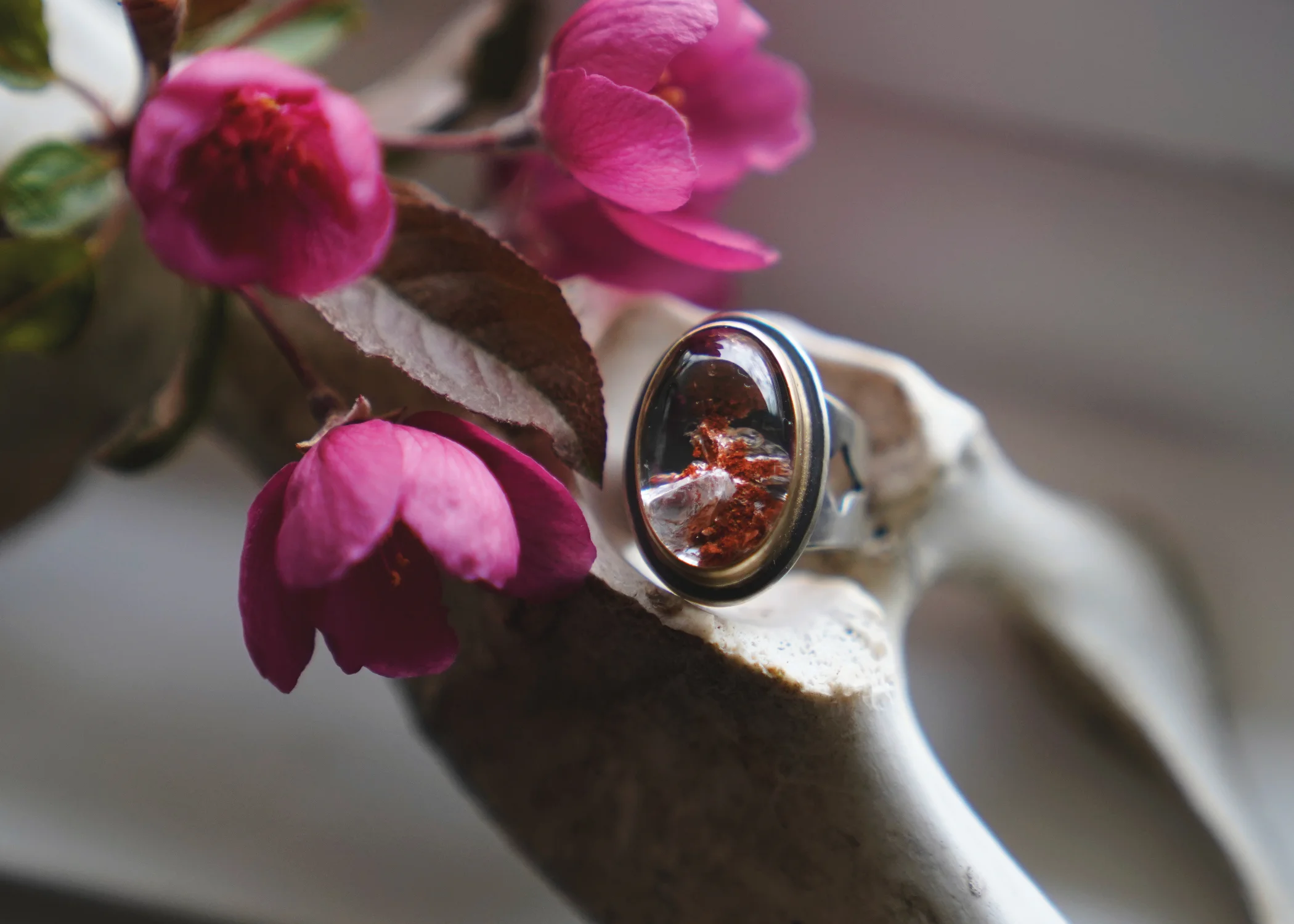 Rings1.jpg