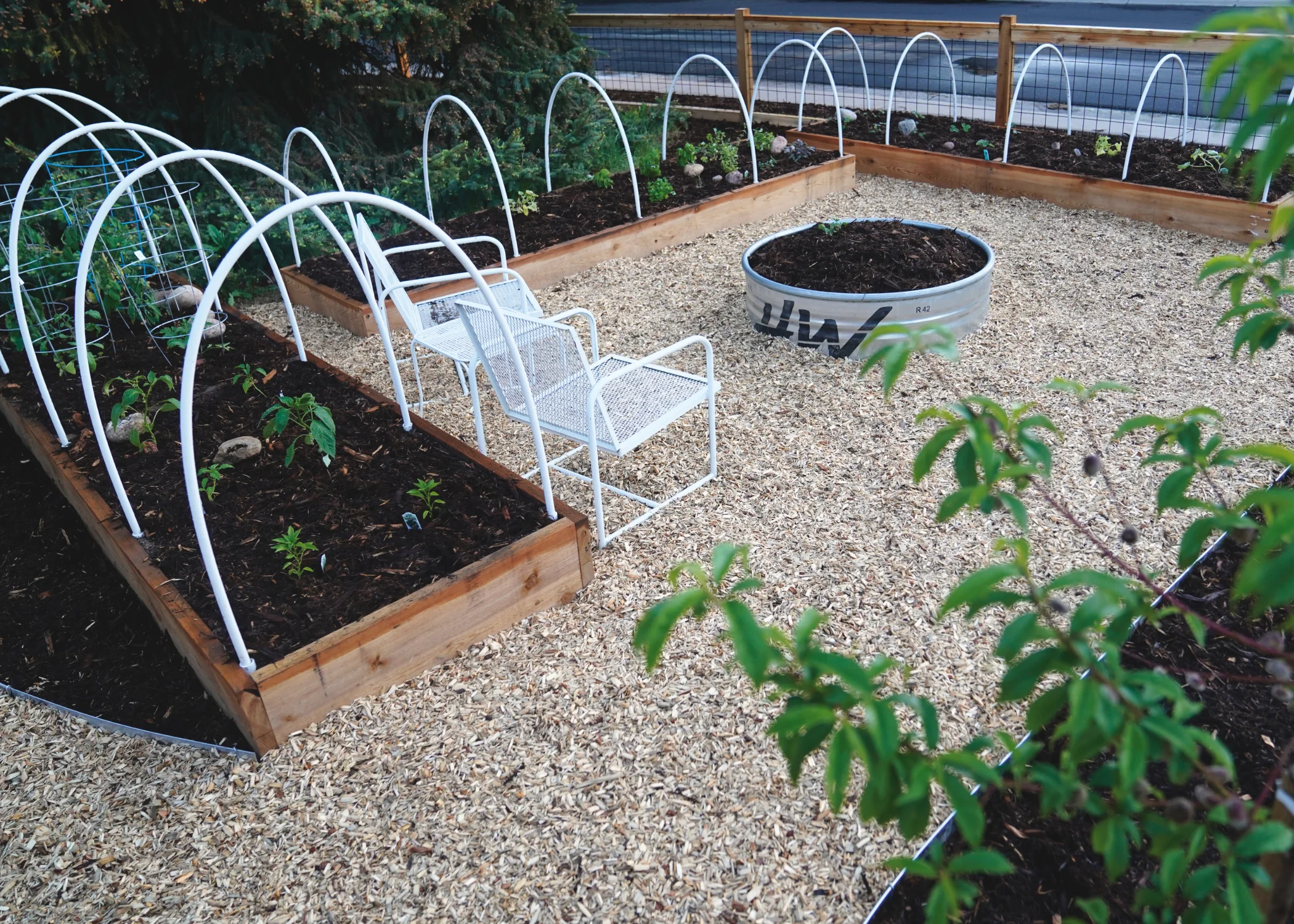 Garden.jpg
