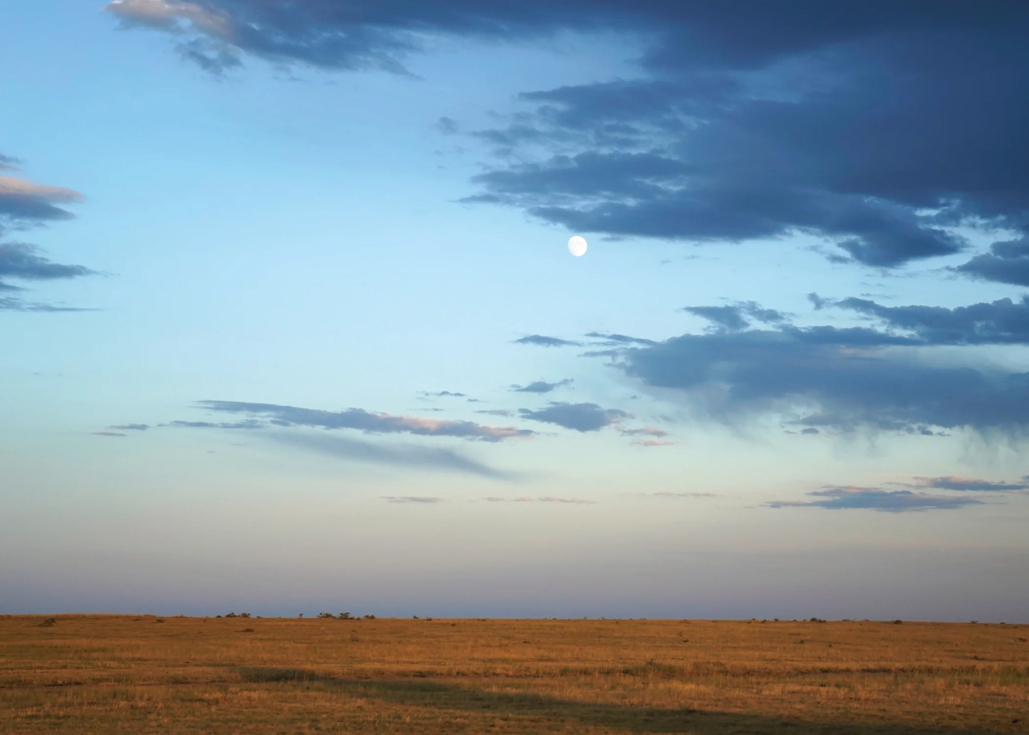 Moonrise.jpg