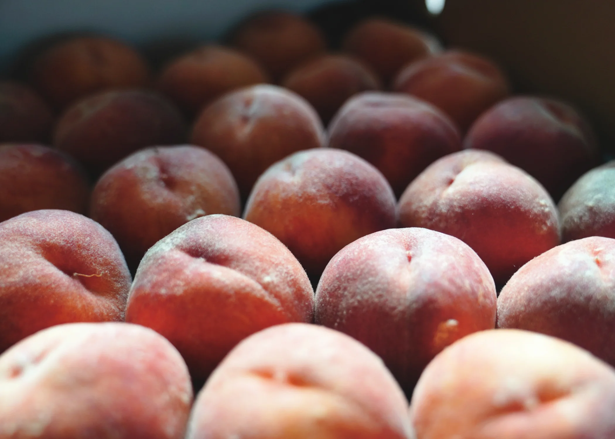 Peach1.jpg