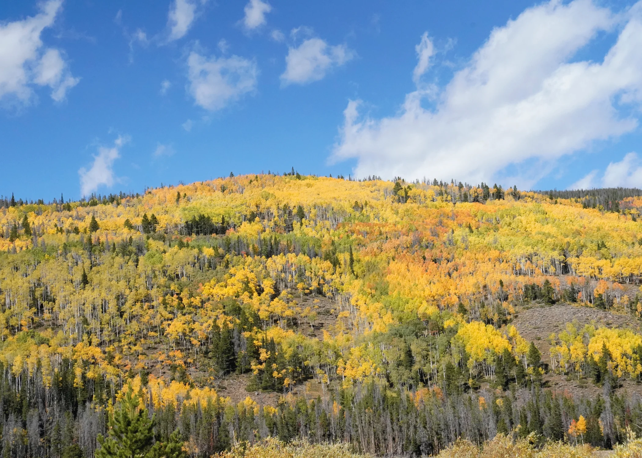 Hillside3.jpg