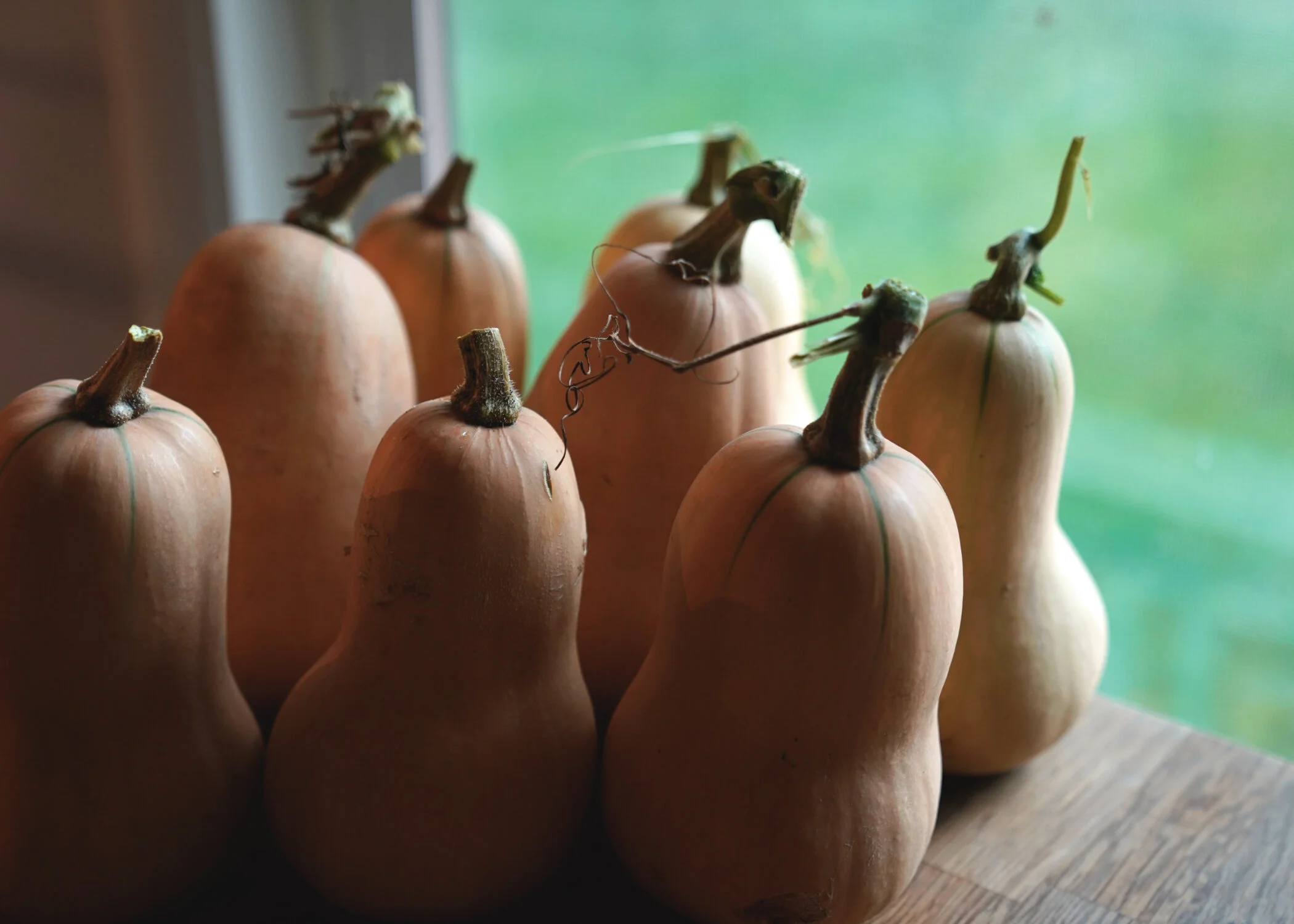 butternut.jpg