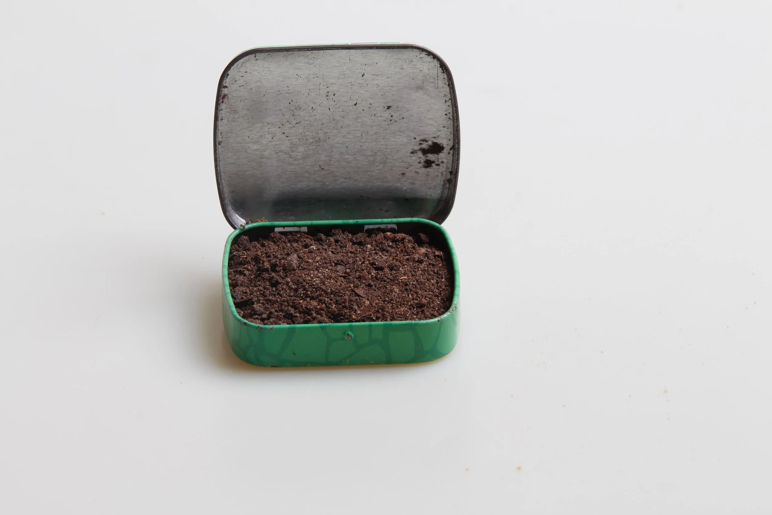 BURIED IN THE SOIL OF YOUR HEART