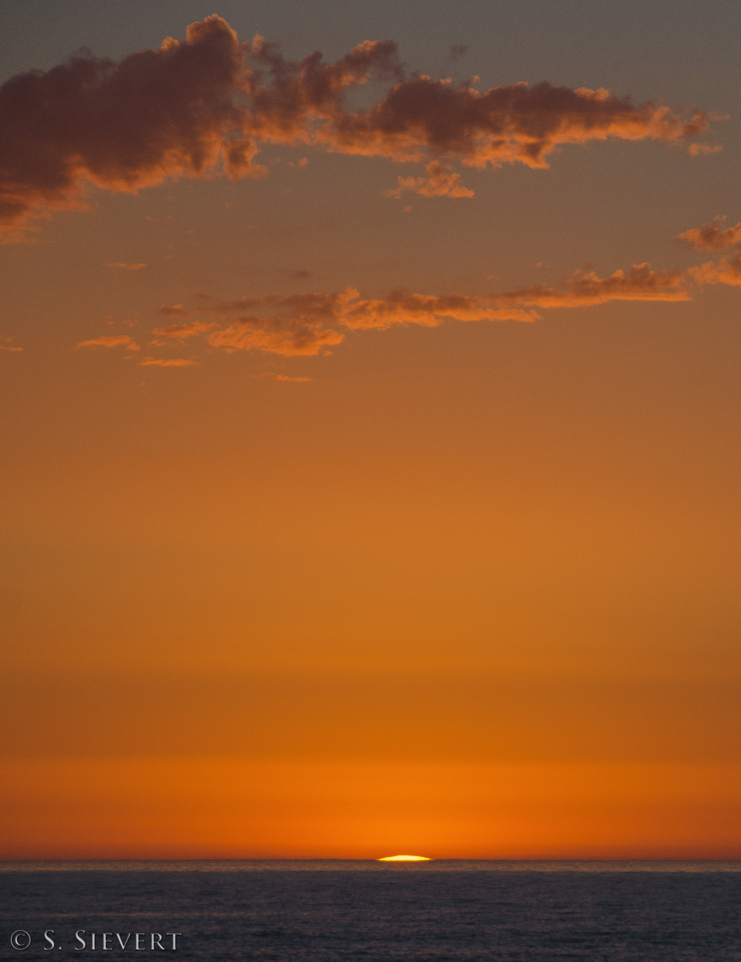 29789563790_4a32ab2f6f_o.jpg