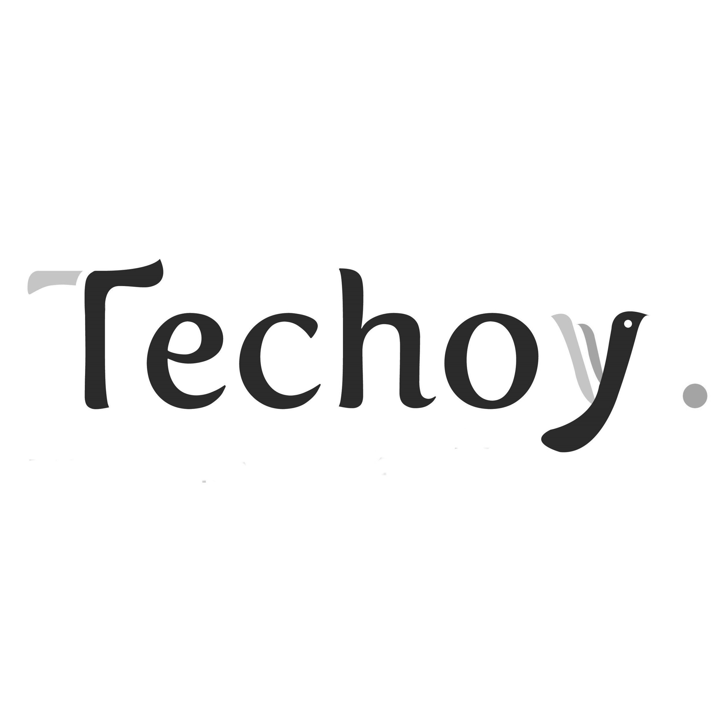 techoy.png