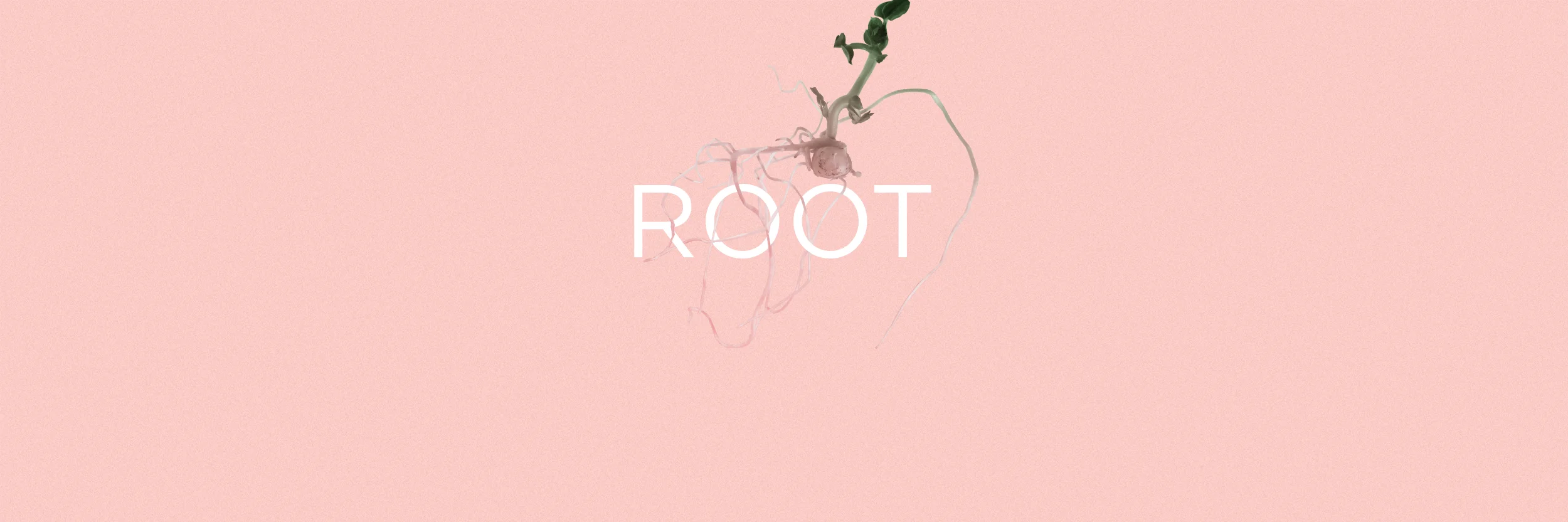 root.jpg