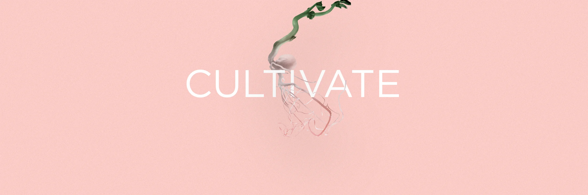 cultivate.jpg