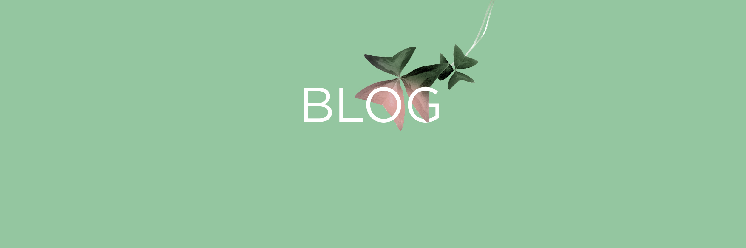 blog.jpg