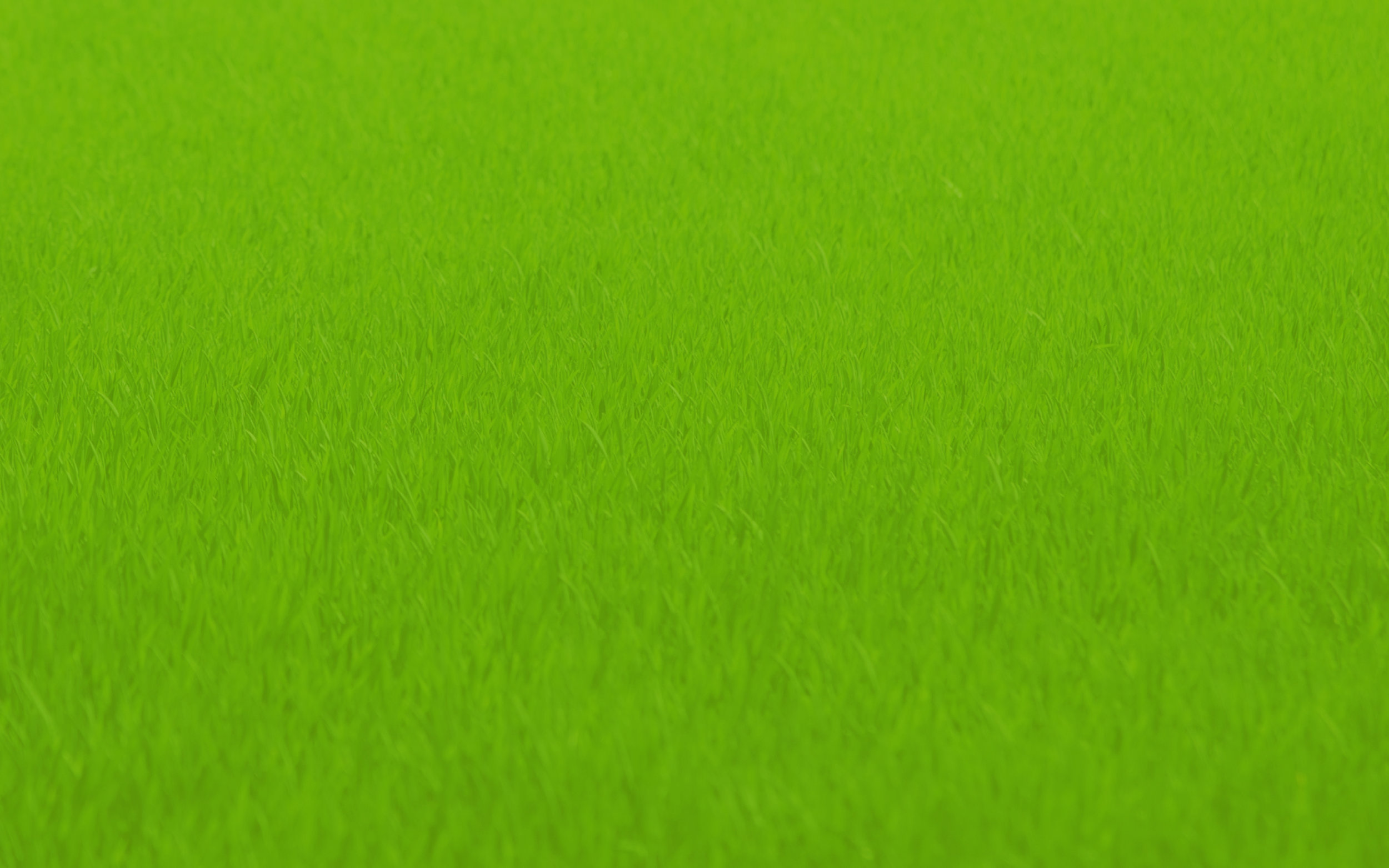 grass_bg_01.jpg
