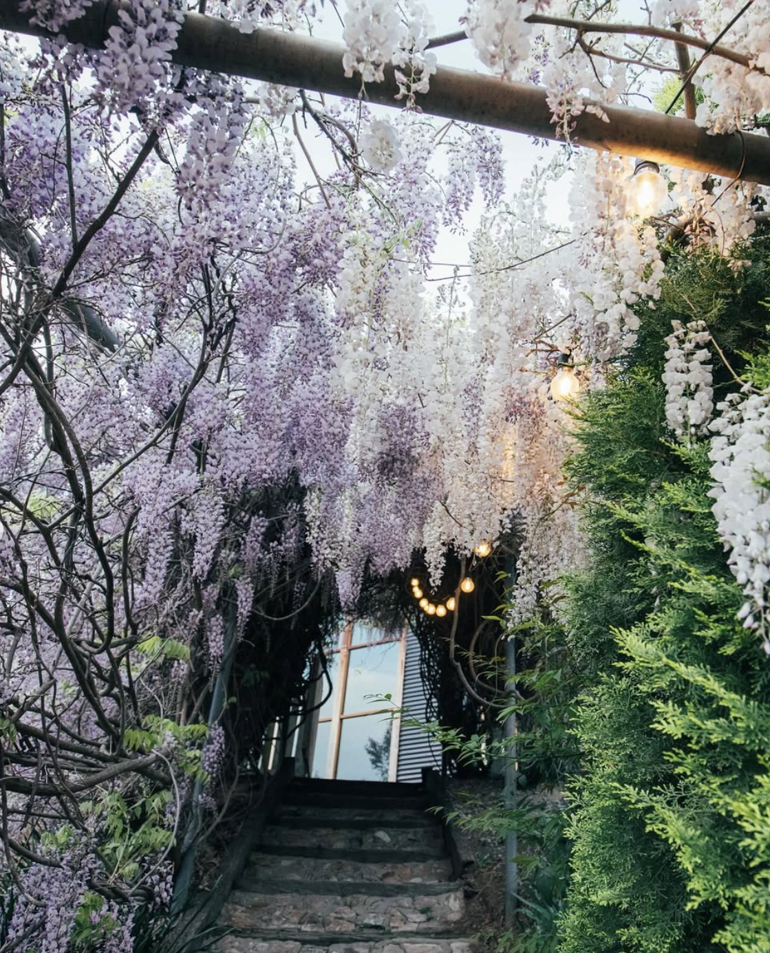 Screenshot 2026-03-04 at 2.03.35 PM.png