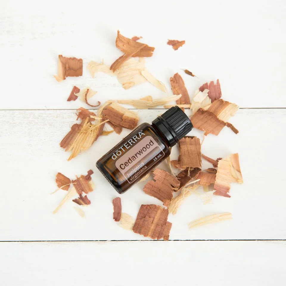 Cedarwood.jpg