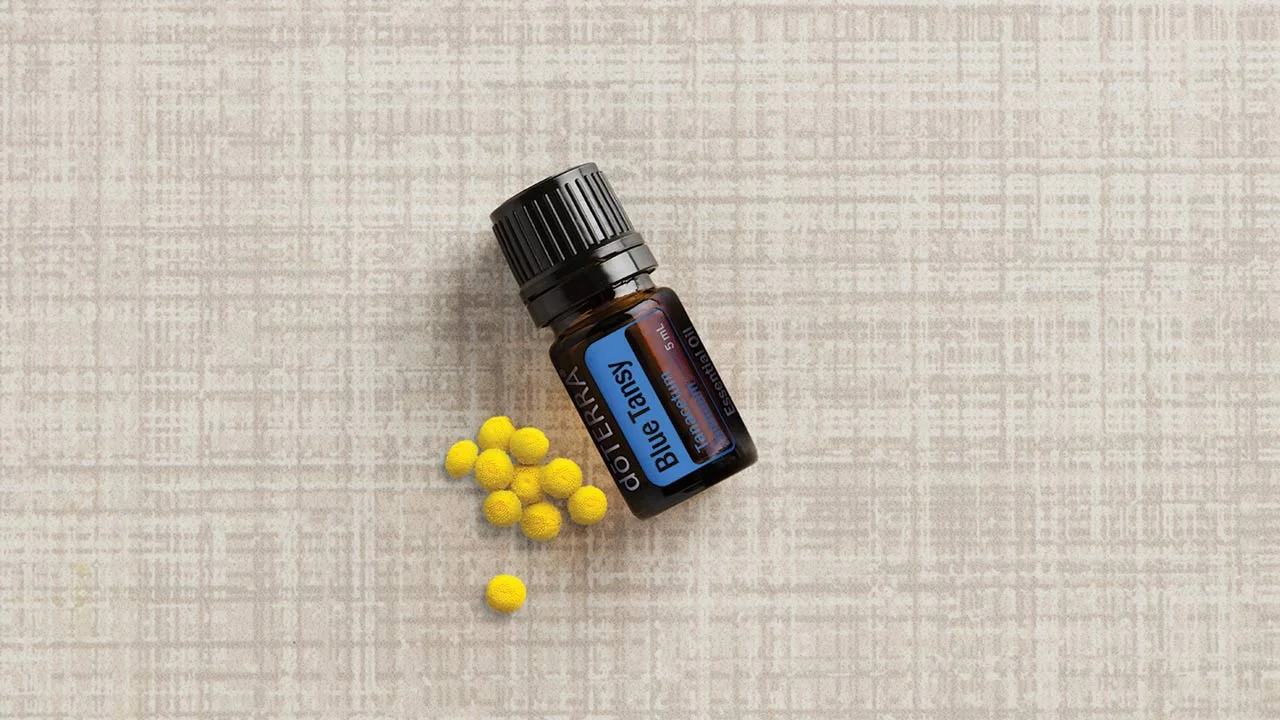 Using Blue Tansy.jpg