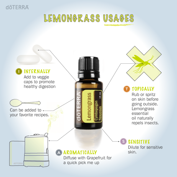 Shop for Lemongrass here.