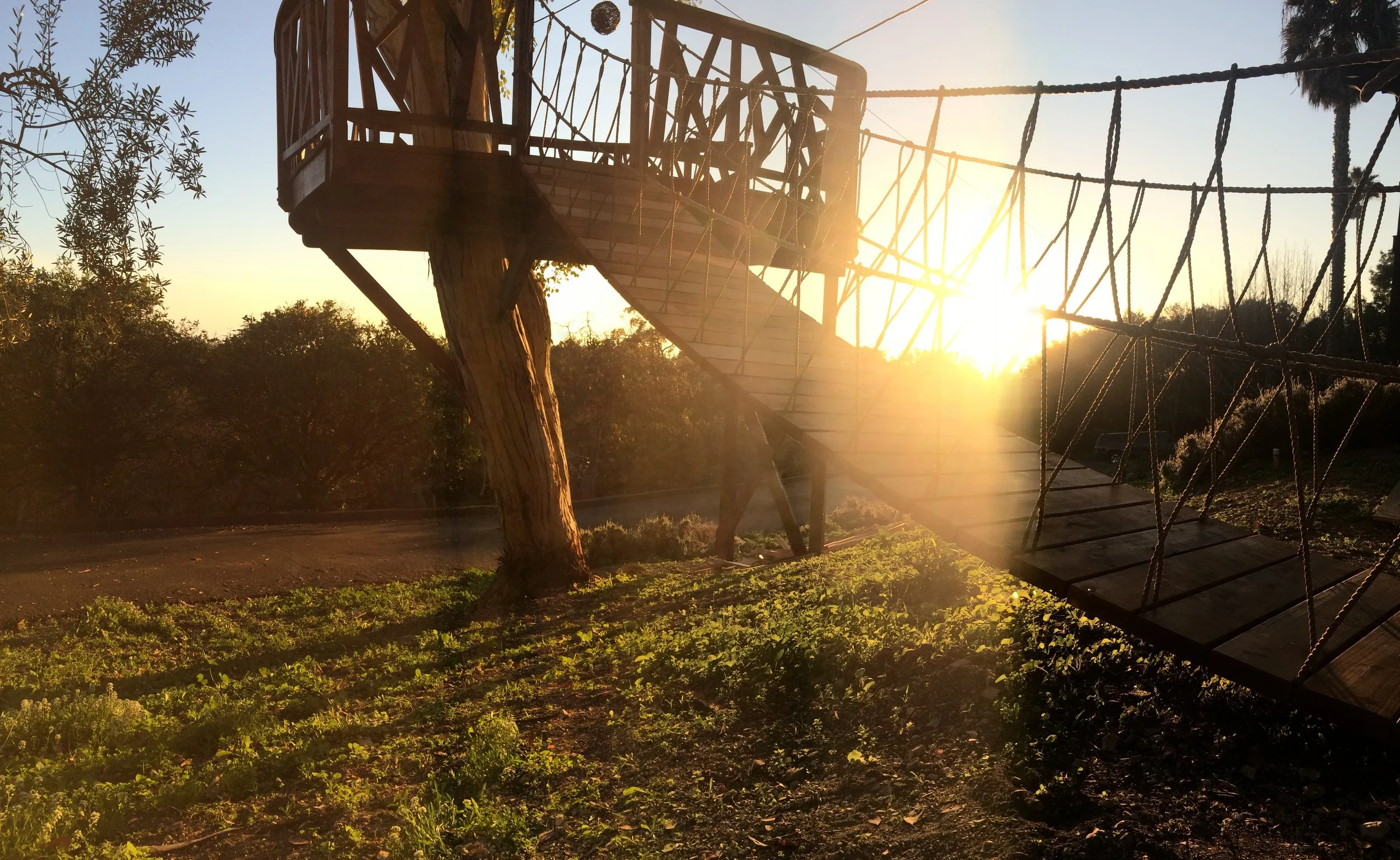 Treehouse play structure with a slide and rope bridge during sunset.