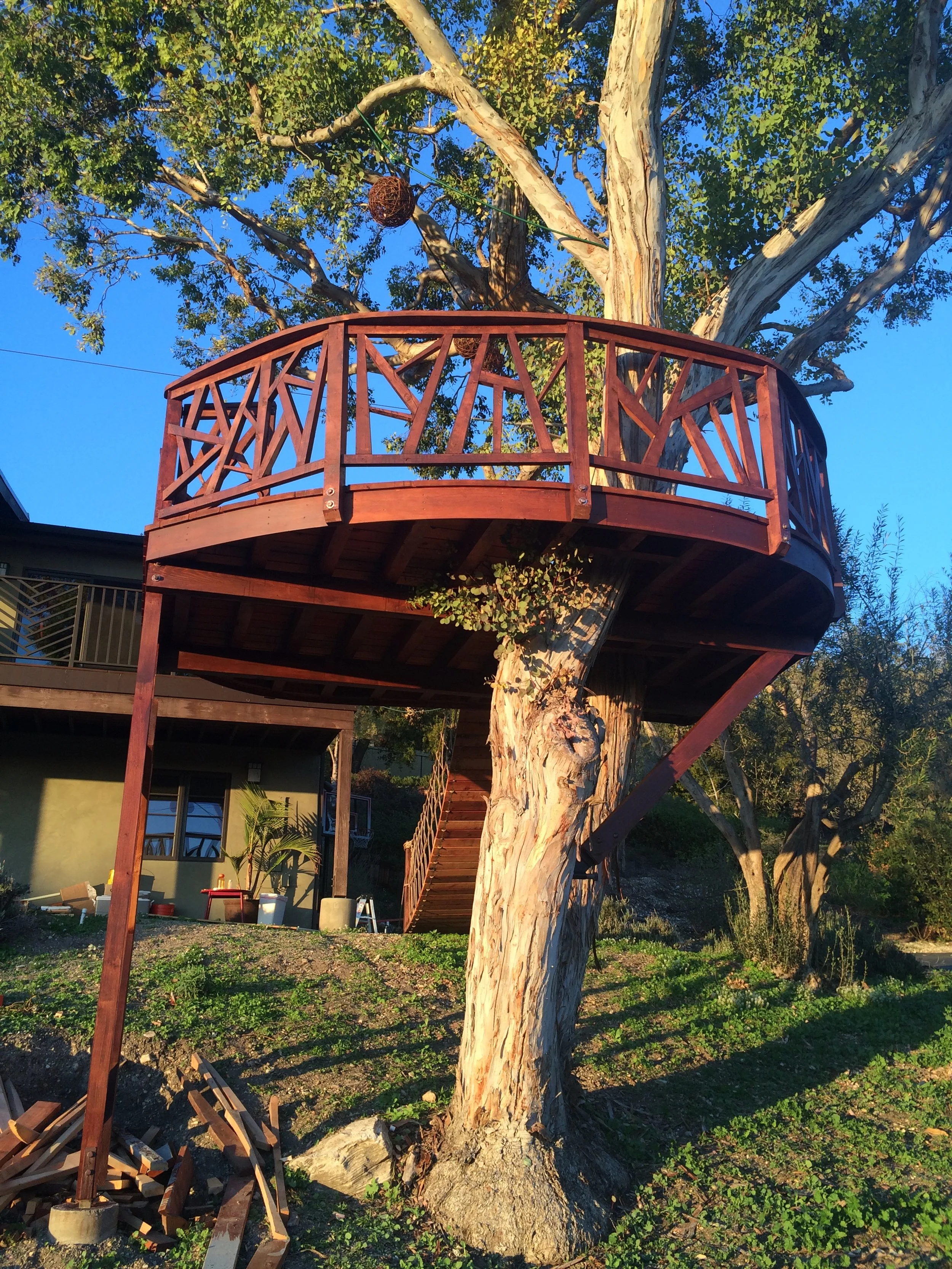 A tree with a wooden balcony built around its trunk, with stairs leading up to the balcony. The scene is bathed in warm sunlight, and surrounding plants and trees are visible.