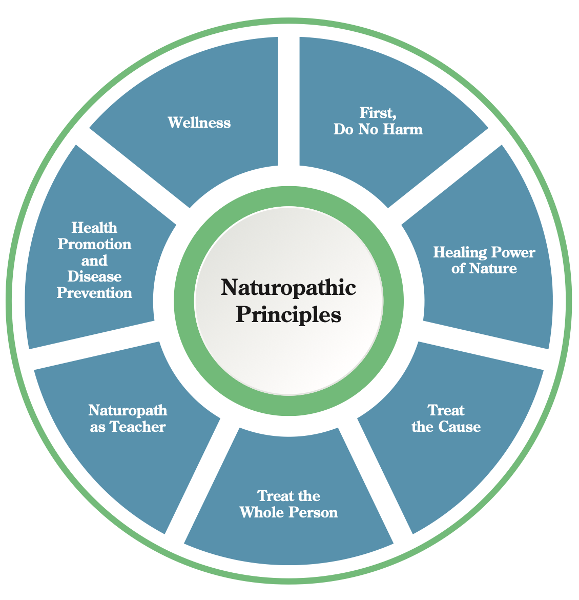 phd in naturopathic medicine