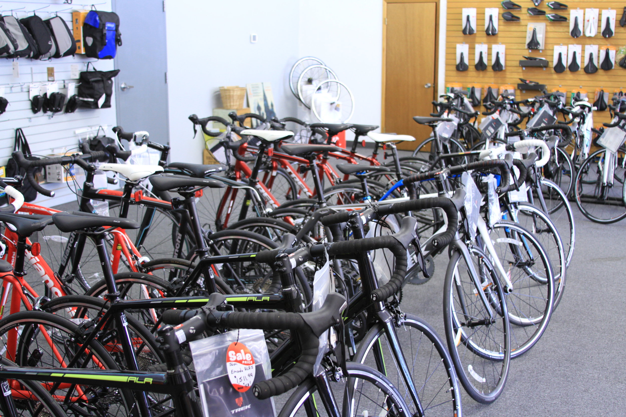 mountain goat bike for sale