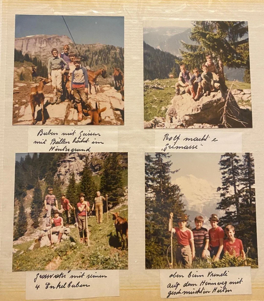 We always get asked, "How'd you guys come up with Billy Goat", and the real answer is that, "the name kind of chose us". #billygoat #billygoats #switzerland #soundofmusic @billygoatbicycleco @st_louis_cycling_club @karl_becker_gra