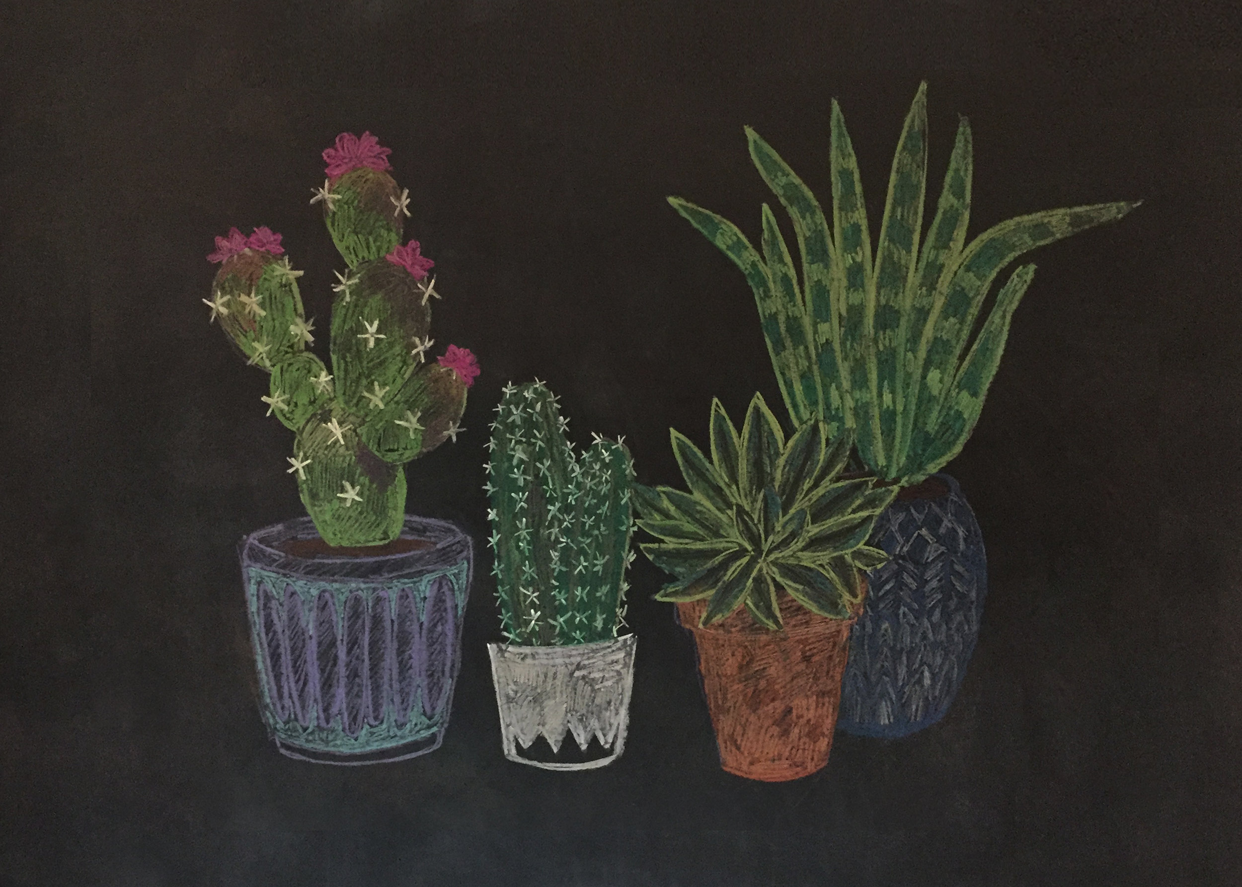 chalkboard_cactus.jpg